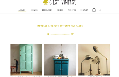 CESTVINTAGE DEVIENT UNE VRAI E-BOUTIQUE