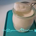 Recette simple pour faire des yaourts sans yaourtière