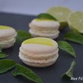 Macaron Mojito