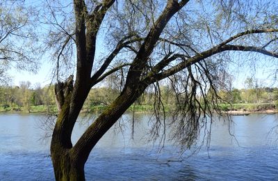 Revoir la Loire à Tours le 7 avril 2025 (2)