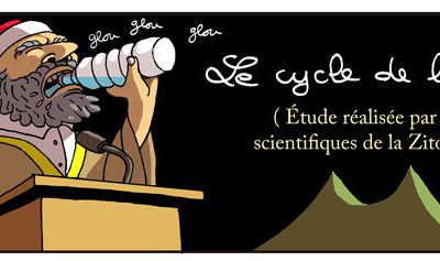 Le cycle de la connerie en Tunisie