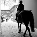 Saut Hermes au Grand Palais - Les cavaliers côté coulisses 