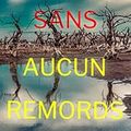 Sans aucun remords