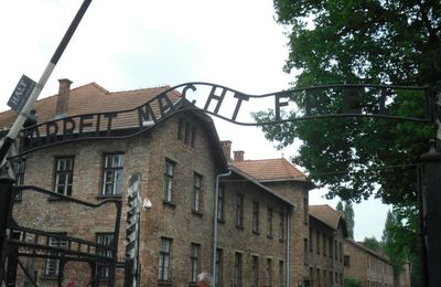 POLOGNE : Auschwitz