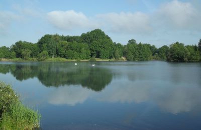 Autour du lac 