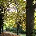 Promenade dans le parc