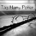 Tag # 50 : Harry Potter