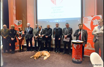 Les 40 ans de la FFAC : histoire de chien guide d'aveugle