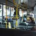Petit tour en bus