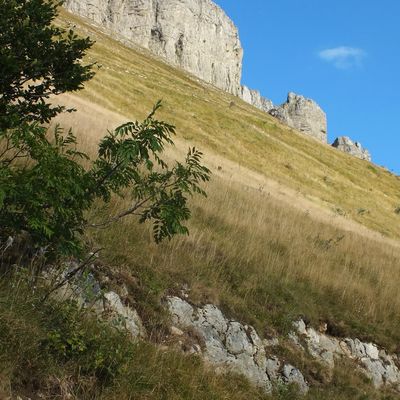 balade au clair de lune! 