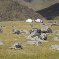 The Orkhon Valley on horse