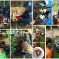 1er Atelier permaculture en classe de Maison des Enfants pour cette nouvelle année scolaire 2025-26!