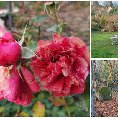 Le jardin, en Picardie.