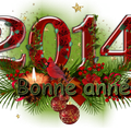 Au revoir 2013, bonjour 2014 ! Que cette année