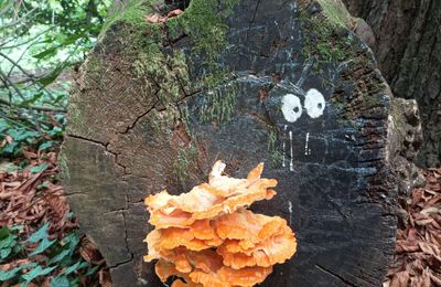 Jeu Photo 2025 : 44 / 52