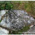 Le chemin bucolique de Saint-Jacques de Compostelle