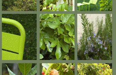 Septembre Vert