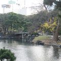 Hama Rikyu