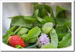 Jeunes pousses, fleur de ciboulette et fraise.