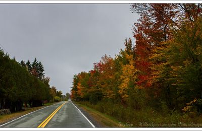 Ça y est, les couleurs s'installent - That's it, the colors are installed