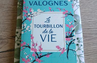 Pochette pour livres