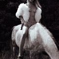 « Buvons à nos femmes, à nos chevaux, et à ceux qui les montent. » Jacques pensait-il à "Lady gode y va" ?
