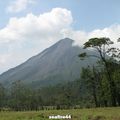 COSTA RICA 2009 (13) ARENAL ET SOURCES CHAUDES