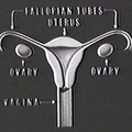 The Story of Menstruation (1946) - Walt Disney Productions / International Cellucotton Company