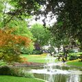 A NOUVEAU QUELQUES CLICHES DU JARDIN DE VILLE...