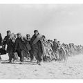 “La Valise mexicaine” de Robert Capa déballée à Arles