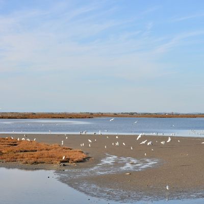 2015 : Vivre dans la peur ? 
