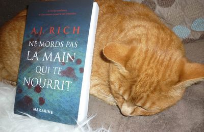 Ne mords pas la main qui te nourrit - A.J. Rich