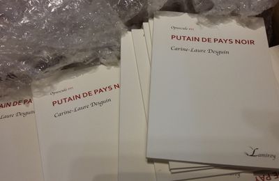 PUTAIN DE PAYS NOIR (EDITIONS LAMIROY), balade littéraire organisée par Guy Delhasse