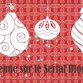 Blog Hop décembre , thème : déco de Noël