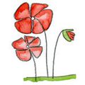 Gentil coquelicot ...