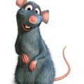 Ratatouille!!!