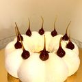 L'entremet vanille, pas que pour les filles