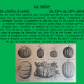 le melon, du 16ème au 18ème siècle