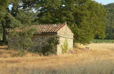 le cabanon