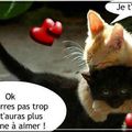 Je t'aime   (humour)