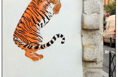 Le Tigre De La Rue Du Retrait