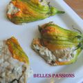 Fleurs de courgettes en beignet et farcies