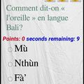  Nos langues maternelles en danger