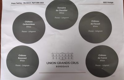 Bordeaux Primeurs 2022 : des vins blancs de l'appellation Pessac-Léognan à l'Union des Grands Crus Classés de Bordeaux