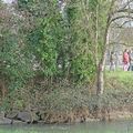 Où est Martin  (pêcheur) ?