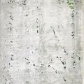 Gerhard Richter, Grau (Gris), 2006