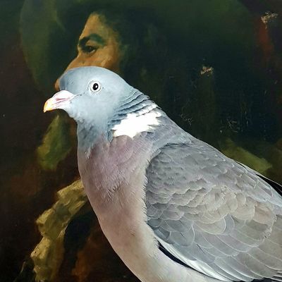 incroyable ! Coco toujours en super forme et jamais bien loin