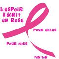 LA CHAINE ROSE