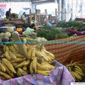 Fruits Exotiques : Banane Plantains