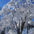 Réveil Blanc